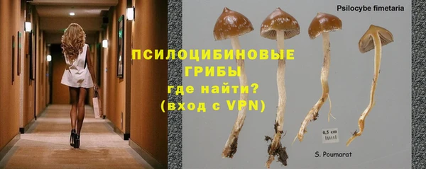 винт Абаза