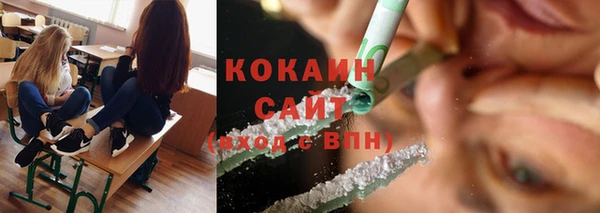 винт Абаза