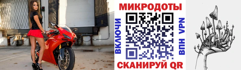 KRAKEN tor  Торопец  Псилоцибиновые грибы мицелий  где купить наркотик 