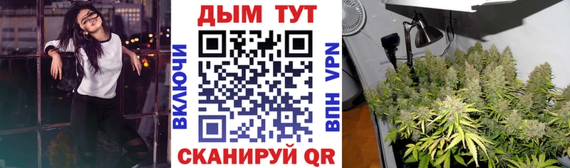 Бошки Шишки гибрид купить наркотики цена Торопец